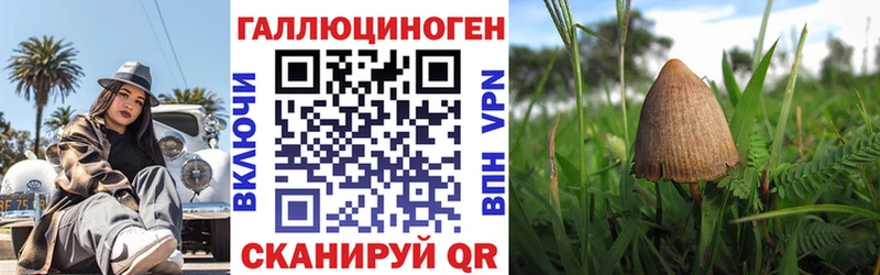 Галлюциногенные грибы прущие грибы Слюдянка